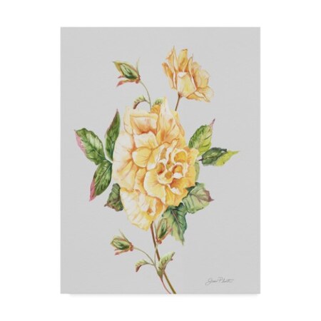 Trademark Fine Art